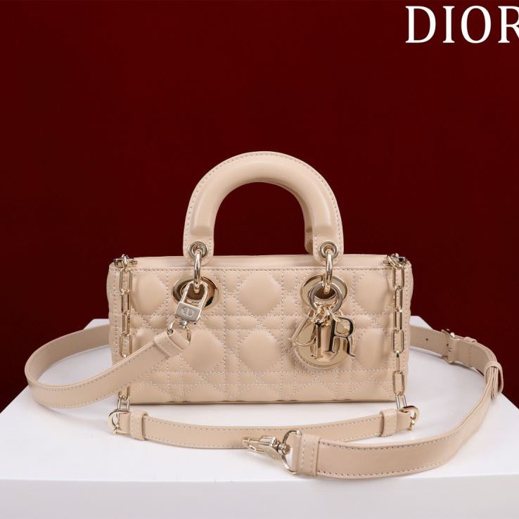 chr1st1an D10r my lady bags